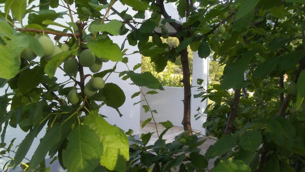 Villa Kuca Za Odmor Maka Kučiće Esterno foto