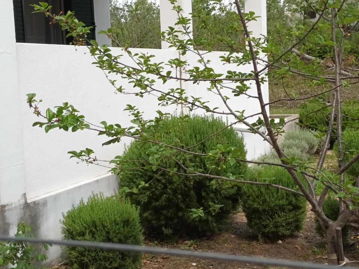 Villa Kuca Za Odmor Maka Kučiće Esterno foto